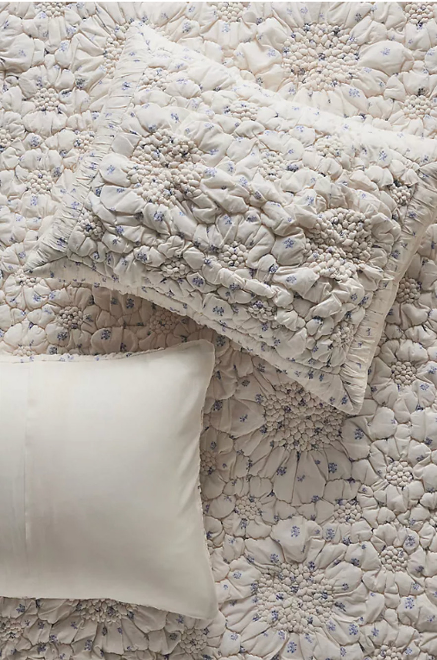 Anthropologie Dahlia Cotton Voile Floral Printed Textured Shams Set 2 Standard